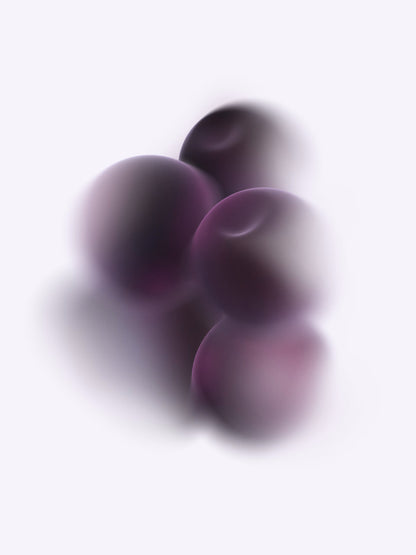 Cassis